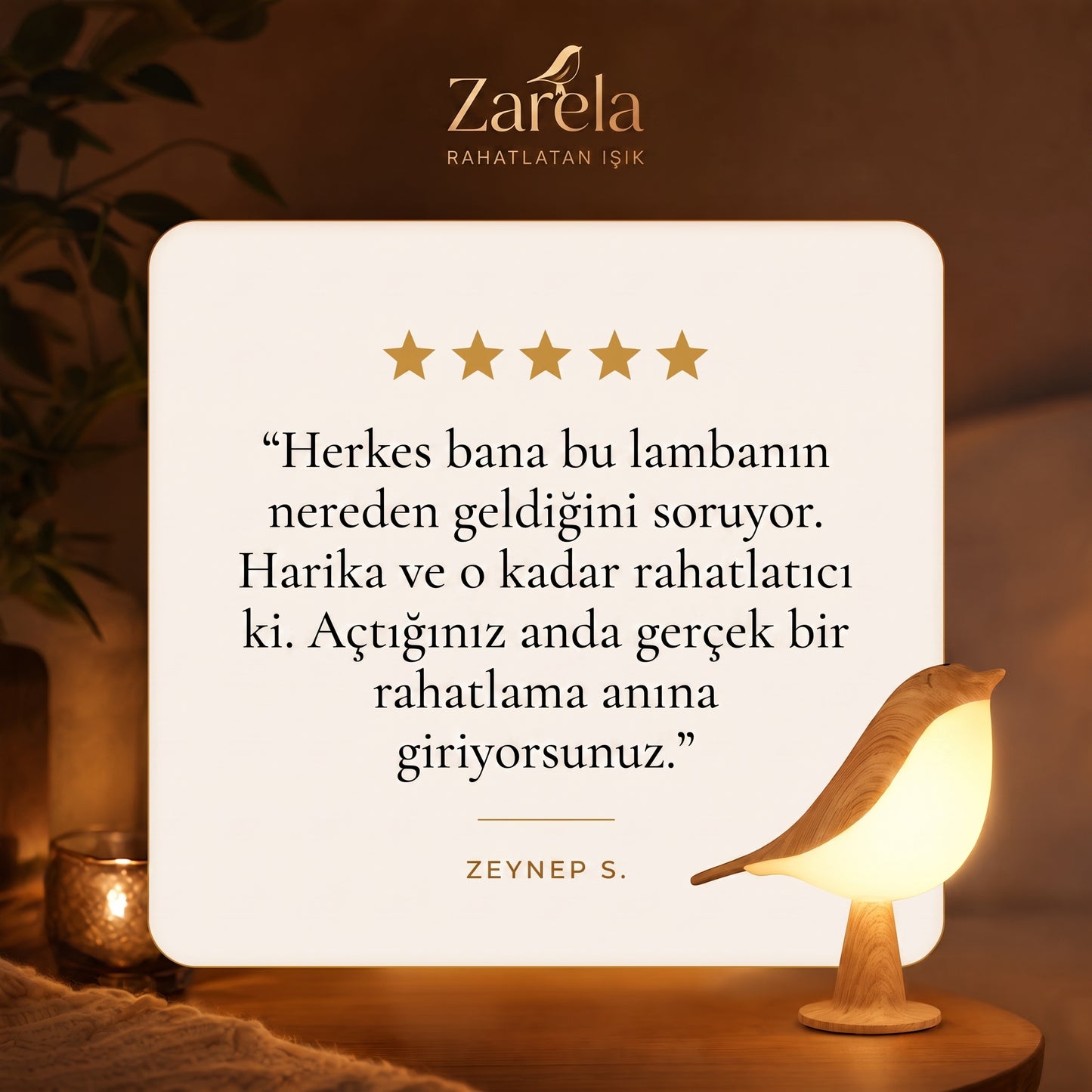 Zarela - Gece kuşunun getirdiği huzur