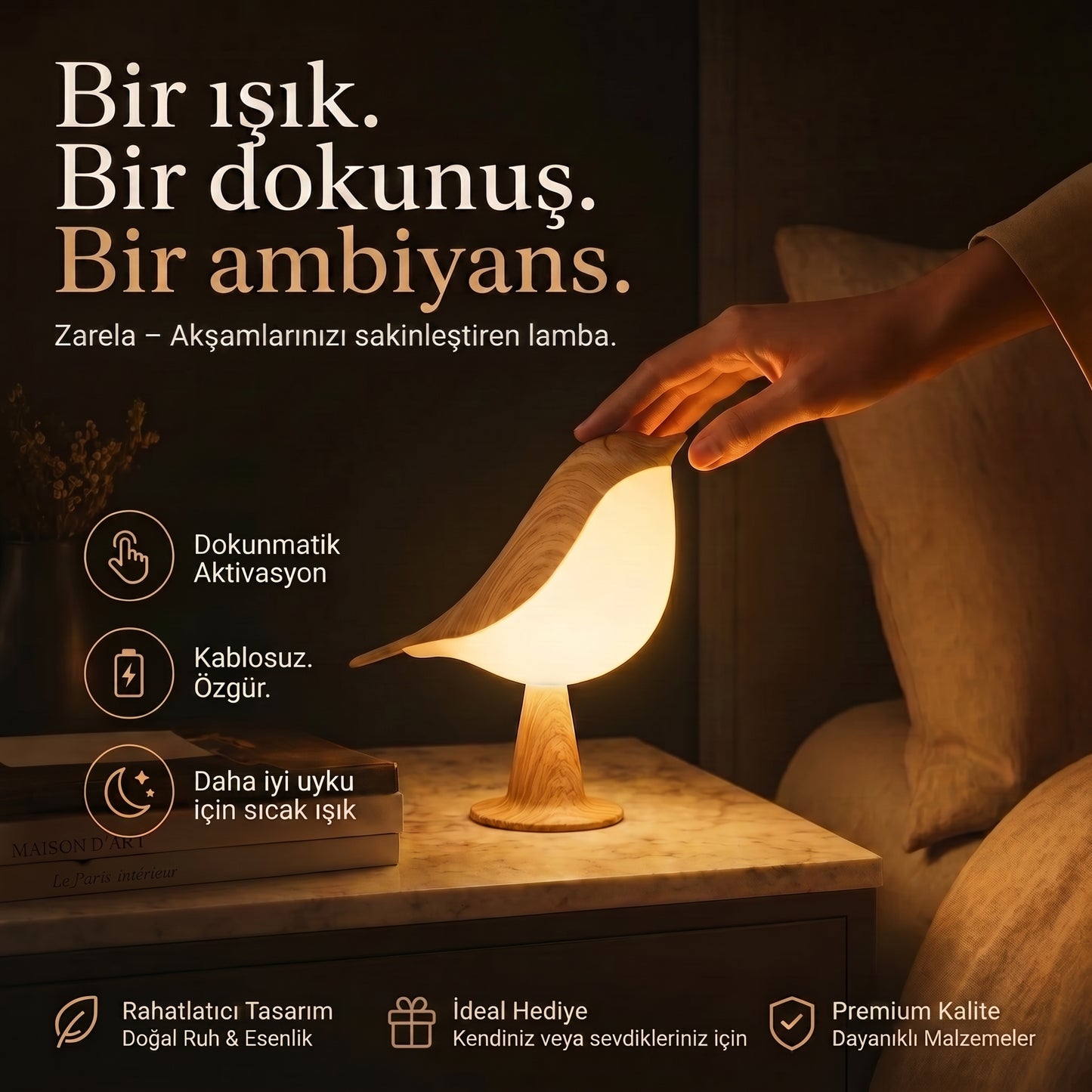 Zarela - Gece kuşunun getirdiği huzur