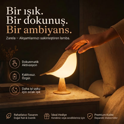 Zarela - Gece kuşunun getirdiği huzur