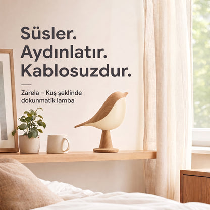 Zarela - Gece kuşunun getirdiği huzur